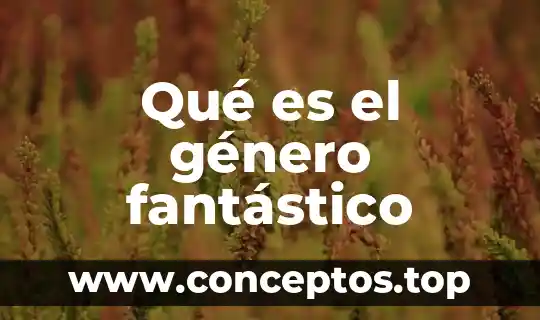 Que es el genero western 3 Qué es el género fantástico