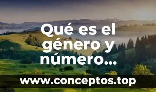Qué es el género y número gramatical
