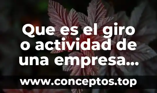 Que es el giro o actividad de una empresa ejemplo