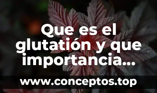 Que es el glutatión y que importancia tiene