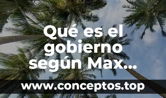 Qué es el gobierno según Max Weber