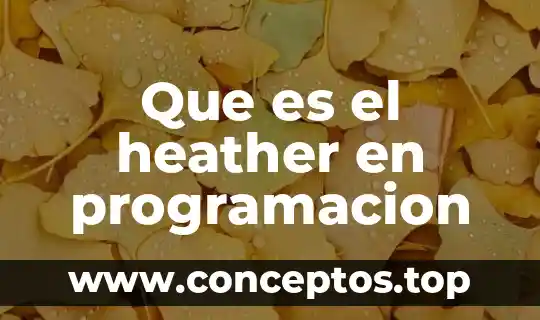 Que es el heather en programacion
