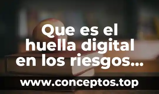 Que es una representación digital 3 Que es el huella digital en los riesgos del internet
