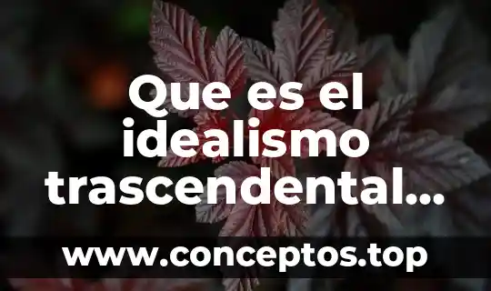 Qué es la genealogía según Foucault 6 Que es el idealismo trascendental segun hegel