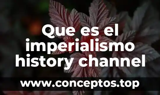 Animal exótico que es preparado en tamales en guerrero 6 Que es el imperialismo history channel