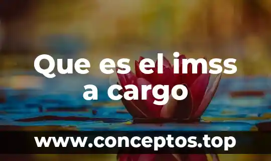 Que es el imss a cargo