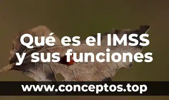 Qué es el IMSS y sus funciones