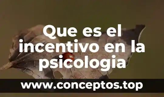 Qué es dismnesia en psicología 7 Que es el incentivo en la psicologia