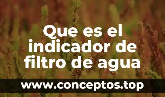 Que es el indicador de filtro de agua