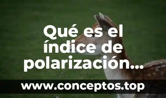 Qué es el índice de polarización unidades