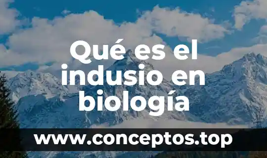 Qué es un sistema semiabierto en biologia 3 Qué es el indusio en biología