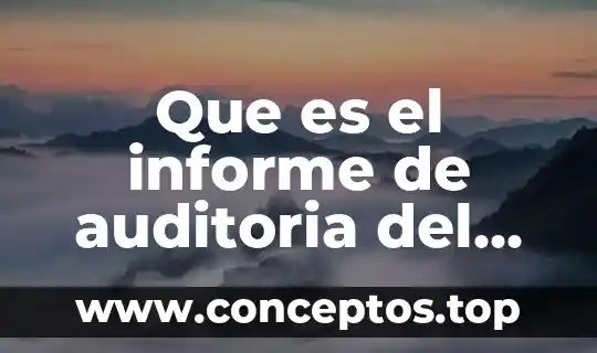 Que es informe academico de titulacion 8 Que es el informe de auditoria del capital humano