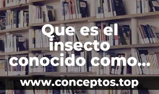 Nombres con los que es conocido España 3 Que es el insecto conocido como langosta