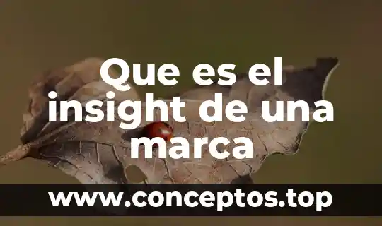 Nombre de la marca que es 5 Que es el insight de una marca