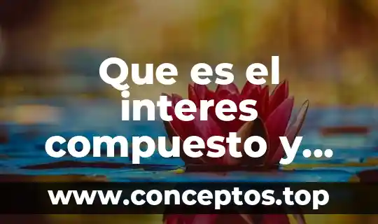 Que es interes publico en contabilidad 8 Que es el interes compuesto y para que sirve