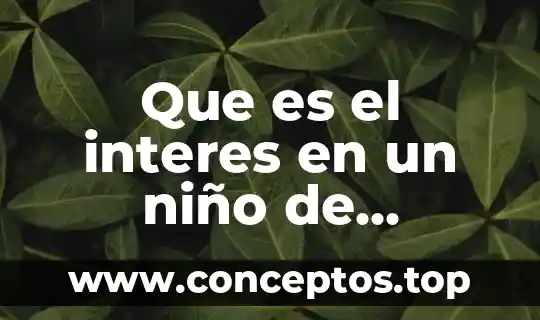 Qué es la inteligencia emocional y sus tipos preescolar 3 Que es el interes en un niño de preescolar