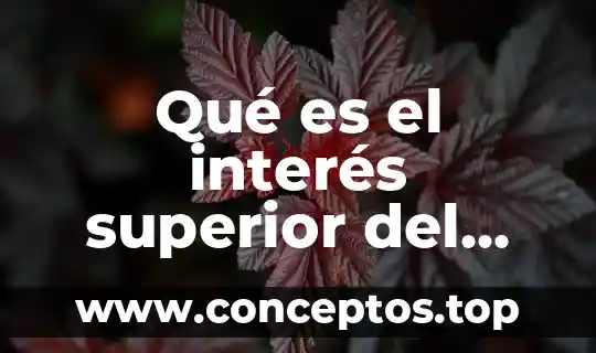 Qué es el interés superior del niño en México