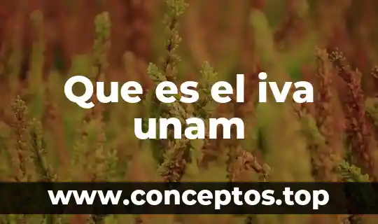 Que es el iva unam