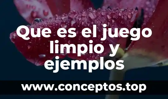 Que es el juego limpio y ejemplos