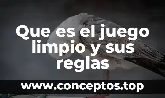Que es el juego limpio y sus reglas