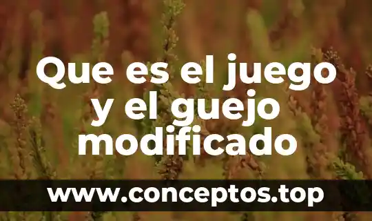 52 Que es un rango modificado 6 Que es el juego y el guejo modificado