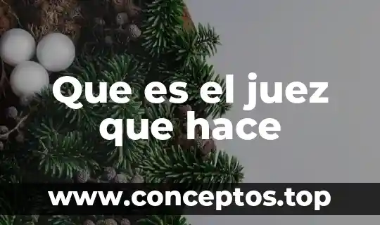 Que es el juez que hace