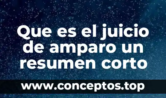 Que es el juicio de amparo un resumen corto