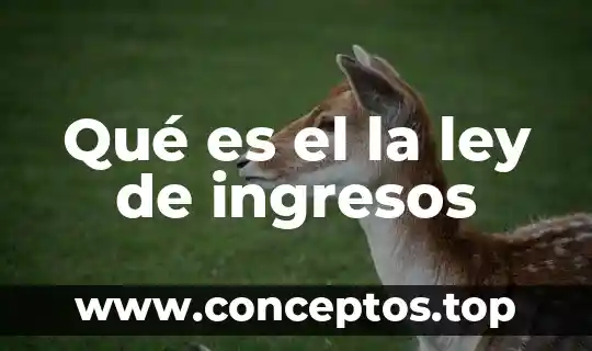Que es mas importante egresos o ingresos 4 Qué es el la ley de ingresos