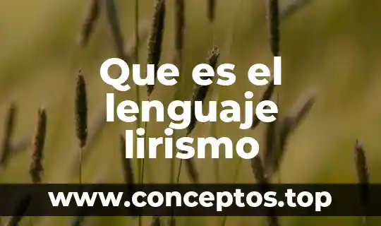 Qué es solecismo en lenguaje 3 Que es el lenguaje lirismo