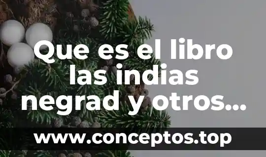 Que es el libro las indias negrad y otros relatos
