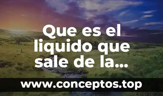 Que es el liquido que sale de la vajina