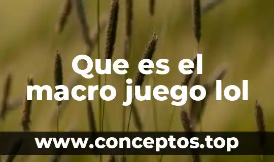 Que es el macro juego lol