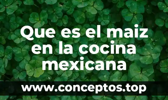 Que es la cocina gourmet mexicana 4 Que es el maiz en la cocina mexicana