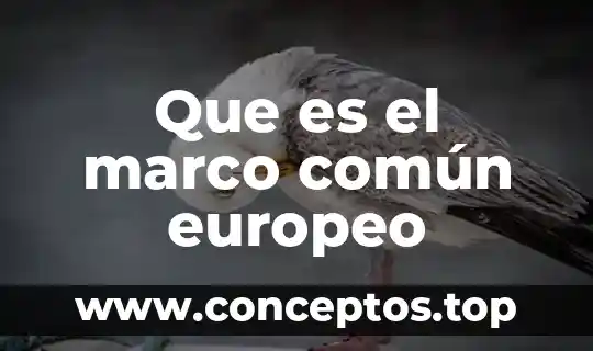 Que es el marco común europeo