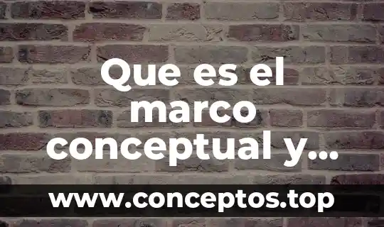 Que es irritabilidad tipos y ejemplos mapa conceptual 8 Que es el marco conceptual y contextual