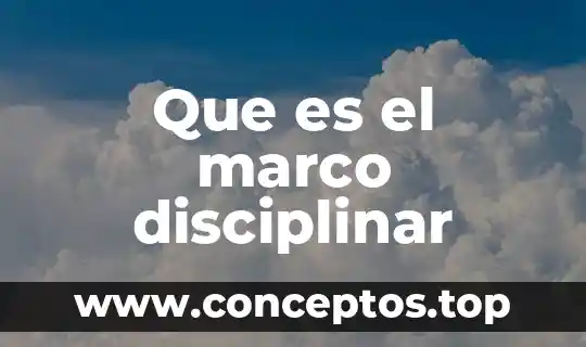 Que es el marco disciplinar