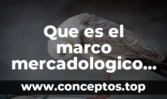 Que es el marco mercadologico en una tesis