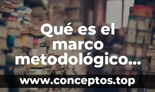 Que es el plasma sanguineo segun autores 4 Qué es el marco metodológico de una tesis según autores
