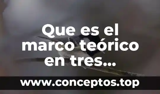 Que es el significado de las tres erres 5 Que es el marco teórico en tres opciones