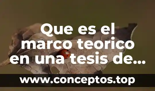 Que es un marco teorico en fundamentos de investigacion 7 Que es el marco teorico en una tesis de licenciaturas