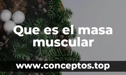 Que es el masa muscular