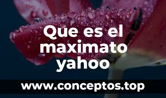 Que es el maximato yahoo