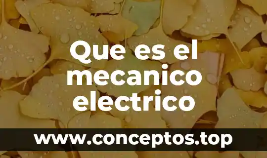 Que es el mecanico electrico