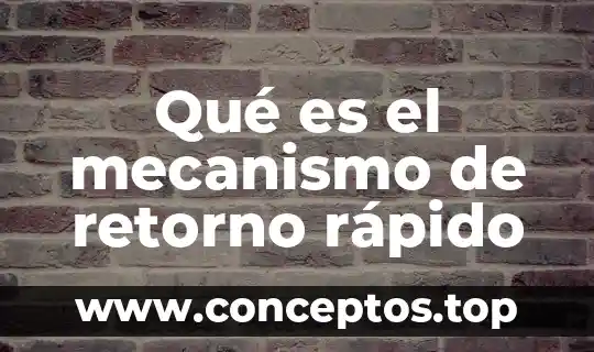 Que es plan rapido 8 Qué es el mecanismo de retorno rápido