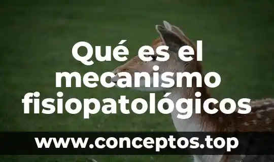 Qué es el mecanismo fisiopatológicos