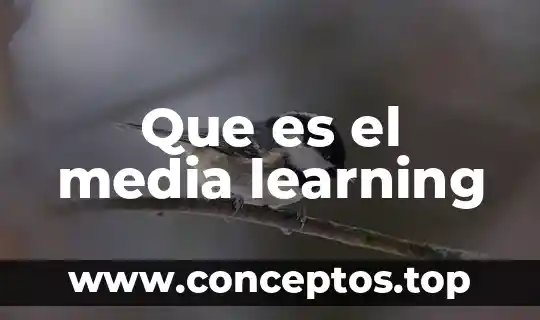 Que es el media learning