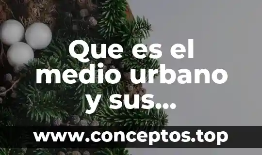 Que es el medio urbano y sus caracteristicas