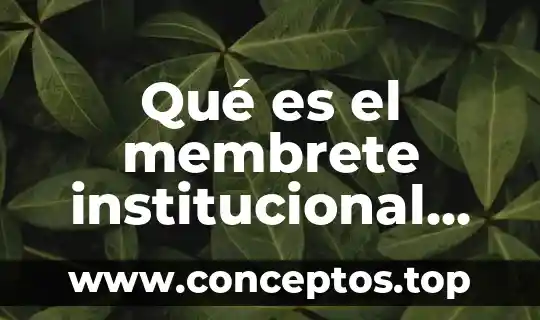 Qué es el membrete institucional ejemplos