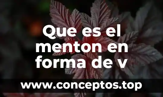 Que es forma figura y espacio 4 Que es el menton en forma de v