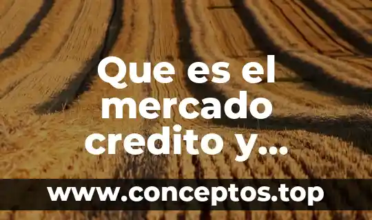 Qué es la igualdad en economía 5 Que es el mercado credito y mercado valores en economia
